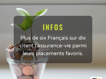 L'assurance-vie s'impose comme le placement préféré des Français. Pourquoi cet engouement ?

Dans un contexte économique marqué par des tensions...